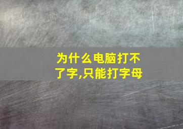 为什么电脑打不了字,只能打字母