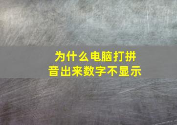 为什么电脑打拼音出来数字不显示