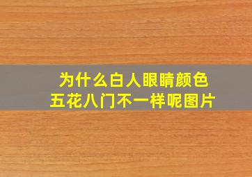 为什么白人眼睛颜色五花八门不一样呢图片