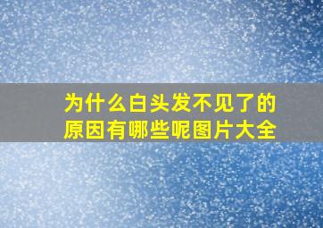 为什么白头发不见了的原因有哪些呢图片大全