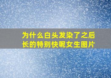 为什么白头发染了之后长的特别快呢女生图片