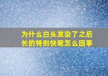 为什么白头发染了之后长的特别快呢怎么回事