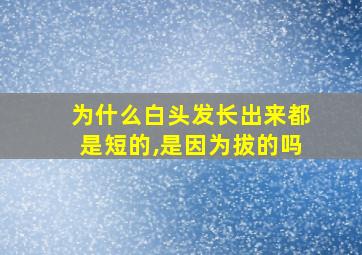 为什么白头发长出来都是短的,是因为拔的吗