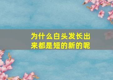 为什么白头发长出来都是短的新的呢