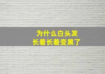 为什么白头发长着长着变黑了