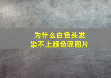 为什么白色头发染不上颜色呢图片