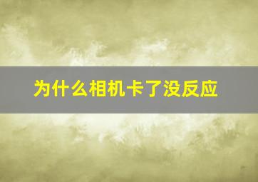 为什么相机卡了没反应