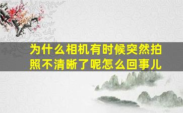 为什么相机有时候突然拍照不清晰了呢怎么回事儿