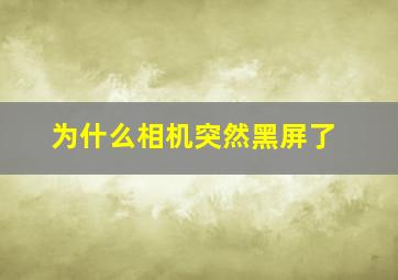 为什么相机突然黑屏了