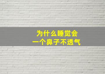 为什么睡觉会一个鼻子不透气