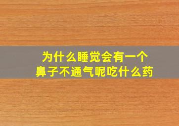 为什么睡觉会有一个鼻子不通气呢吃什么药