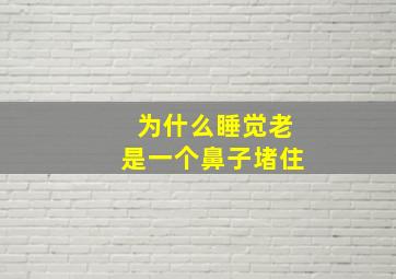 为什么睡觉老是一个鼻子堵住