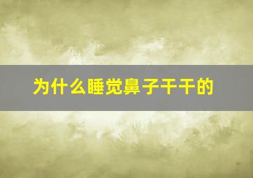 为什么睡觉鼻子干干的