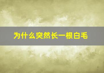 为什么突然长一根白毛