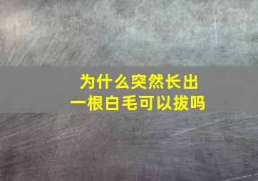 为什么突然长出一根白毛可以拔吗