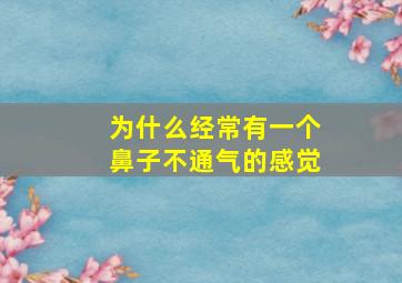 为什么经常有一个鼻子不通气的感觉