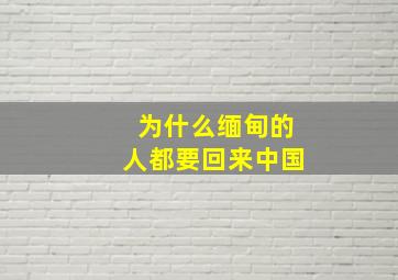 为什么缅甸的人都要回来中国