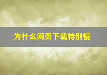 为什么网页下载特别慢