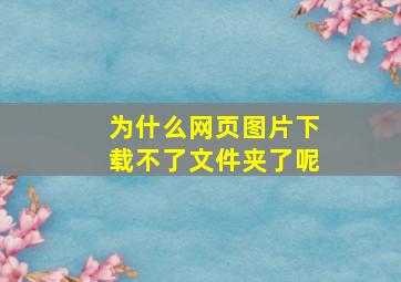 为什么网页图片下载不了文件夹了呢