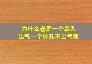 为什么老是一个鼻孔出气一个鼻孔不出气呢