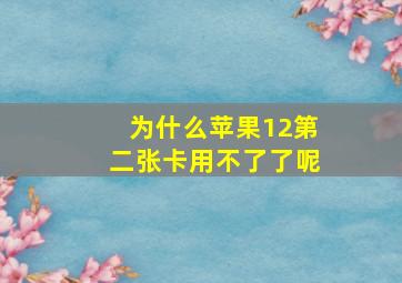 为什么苹果12第二张卡用不了了呢