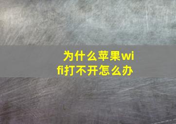 为什么苹果wifi打不开怎么办