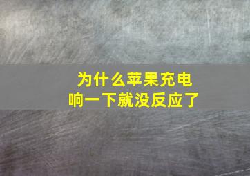 为什么苹果充电响一下就没反应了