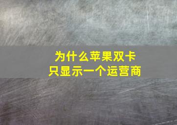 为什么苹果双卡只显示一个运营商