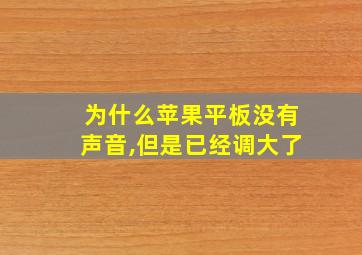 为什么苹果平板没有声音,但是已经调大了