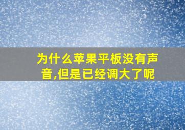 为什么苹果平板没有声音,但是已经调大了呢