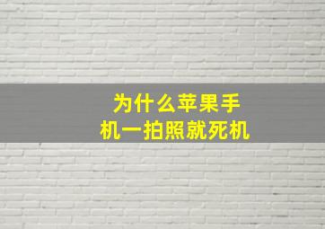 为什么苹果手机一拍照就死机