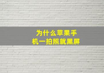 为什么苹果手机一拍照就黑屏