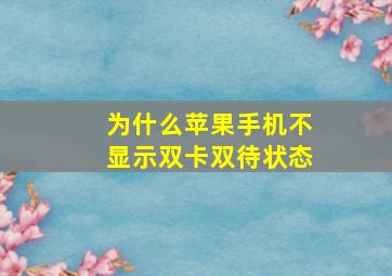 为什么苹果手机不显示双卡双待状态