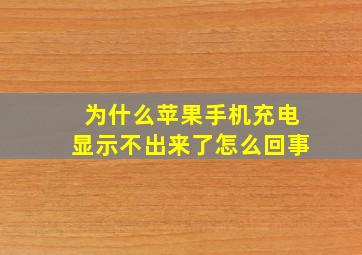 为什么苹果手机充电显示不出来了怎么回事