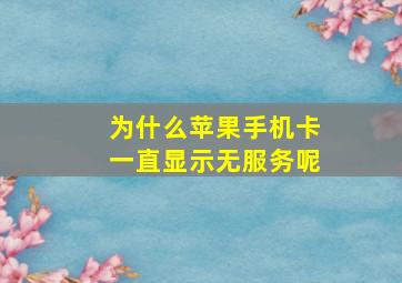 为什么苹果手机卡一直显示无服务呢