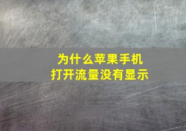 为什么苹果手机打开流量没有显示