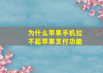 为什么苹果手机拉不起苹果支付功能