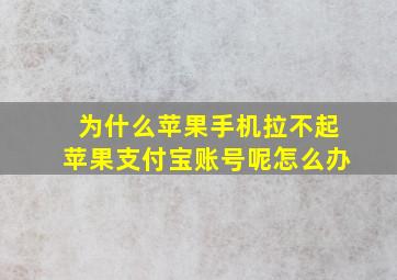 为什么苹果手机拉不起苹果支付宝账号呢怎么办