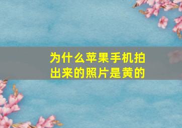 为什么苹果手机拍出来的照片是黄的