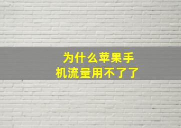 为什么苹果手机流量用不了了