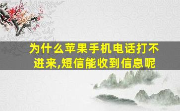 为什么苹果手机电话打不进来,短信能收到信息呢