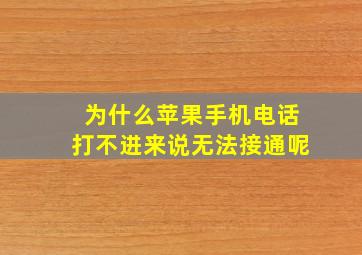 为什么苹果手机电话打不进来说无法接通呢