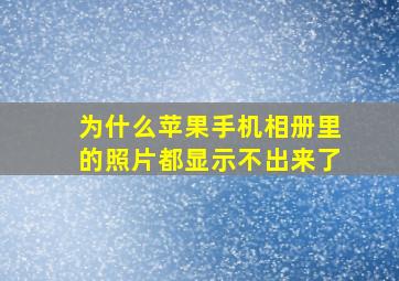 为什么苹果手机相册里的照片都显示不出来了