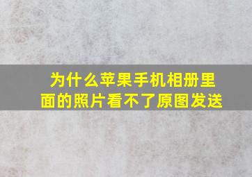 为什么苹果手机相册里面的照片看不了原图发送