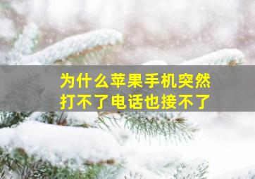 为什么苹果手机突然打不了电话也接不了