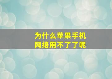 为什么苹果手机网络用不了了呢