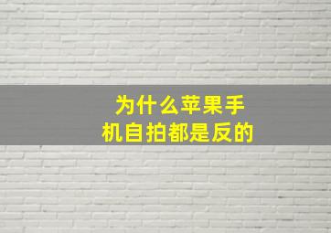 为什么苹果手机自拍都是反的