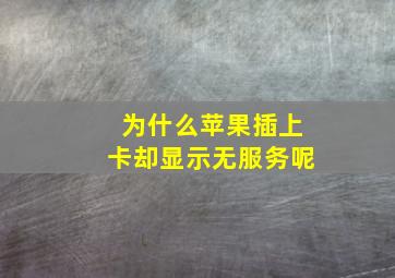 为什么苹果插上卡却显示无服务呢