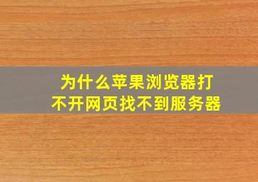 为什么苹果浏览器打不开网页找不到服务器