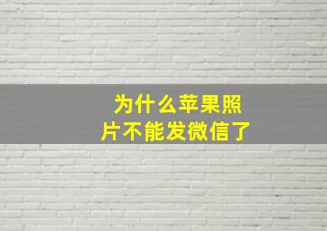 为什么苹果照片不能发微信了